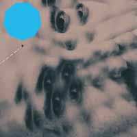 Album Lucas Pino: The Answer Is No