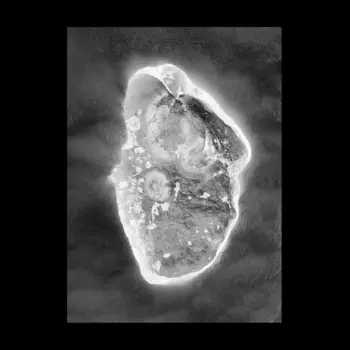 Luciano Lamanna: In Vitro