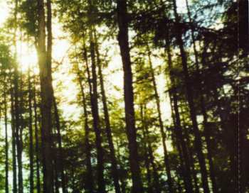 CD Lucky Pierre: Hypnogogia