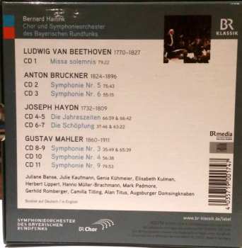 11CD/Dobozkészlet Ludwig van Beethoven: Bernard Haitink Portrait