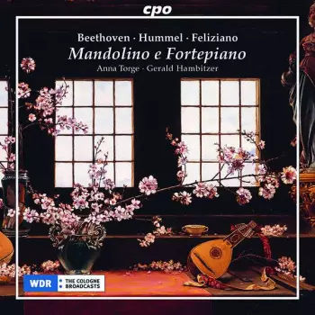 Mandolino E Fortepiano