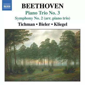 Piano Trio No. 3 / Symphony No. 2 (Arr. For Piano Trio)