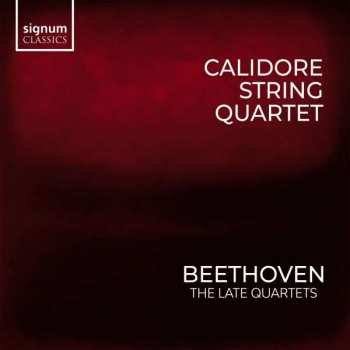 Album Ludwig van Beethoven: Streichquartette Vol.1 - The Late Quartets