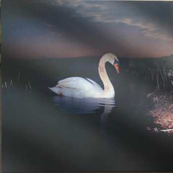 Album Ludwig Wandinger: Is Peace Wild?