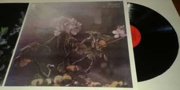 LP Luis Alberto Spinetta: A 18' Del Sol