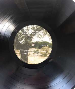 LP/SP Promise Of The Real: Turn Off The News (Build A Garden)