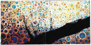 CD Luke Concannon: Ecstatic Bird In The Burning