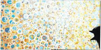 CD Luke Concannon: Ecstatic Bird In The Burning