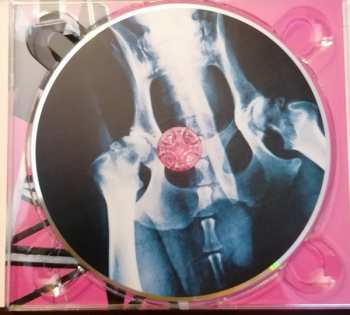 CD Luke Haines: Luke Haines In... Setting The Dogs On The Post Punk Postman