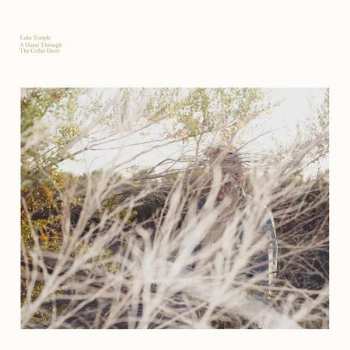 Album Luke Temple: A Hand Through The Cellar Door