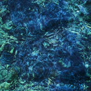 Album Ichiko Aoba: Luminescent Creatures