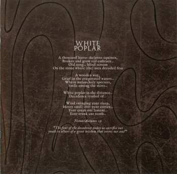 CD Lux Divina: Possessed By Telluric Feelings