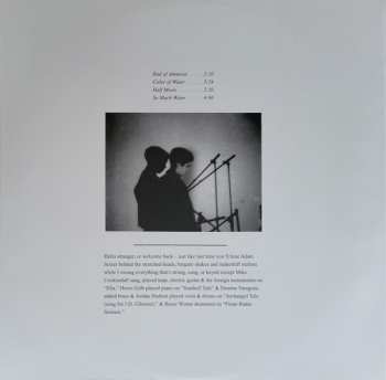 2LP M. Ward: End of Amnesia
