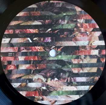 LP Maarja Nuut: Muunduja