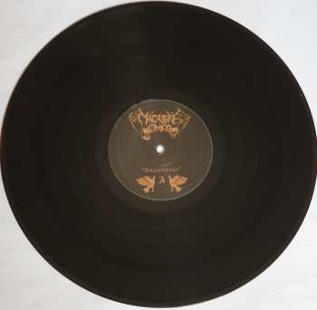 LP Macabre Omen: Anamneses LTD