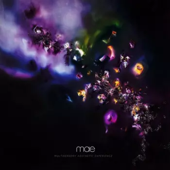 Mae: Multisensory Aesthetic Experience