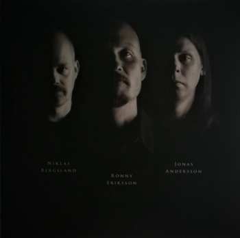 LP Magnolia: Ta Tjuren Vid Hornen 