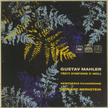 2LP/Dobozkészlet Leonard Bernstein: Symfonie Č.3, D Moll