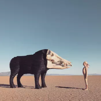 Man Man: Dream Hunting in the Valley of the In-Between