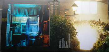 2LP Mantis: Glint LTD | CLR