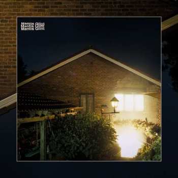 Album Mantis: Glint