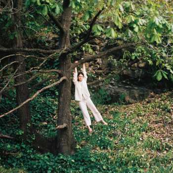 CD Maple Glider: To Enjoy Is The Only Thing