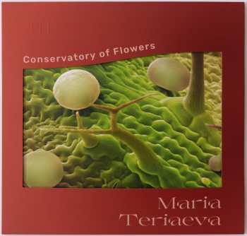 LP Maria Teriaeva: Conservatory Of Flowers LTD | NUM