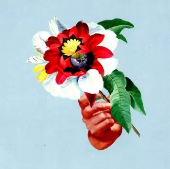 Maribou State: Kingdoms In Colour