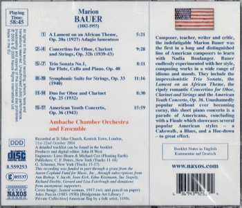 CD Ambache Chamber Ensemble: American Youth Concerto / Concertino For Oboe, Clarinet And Strings / A Lament On An African Theme / Symphonic Suite