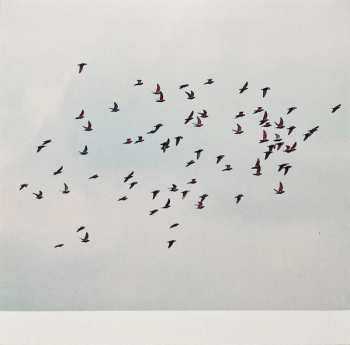 LP Judith Hamann: A Coincidence Is Perfect, Intimate Attunement