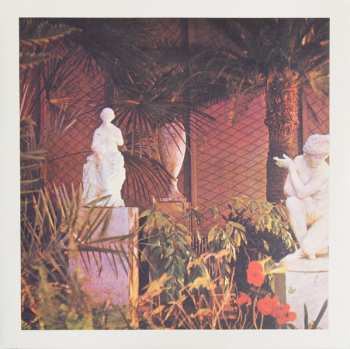 Album Marja Ahti: Vegetal Negatives