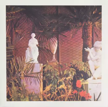 Vegetal Negatives