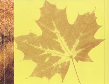 CD Mark Burchfield: Peaceful Easy Feeling