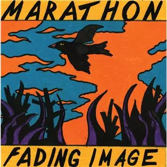 Fading Image