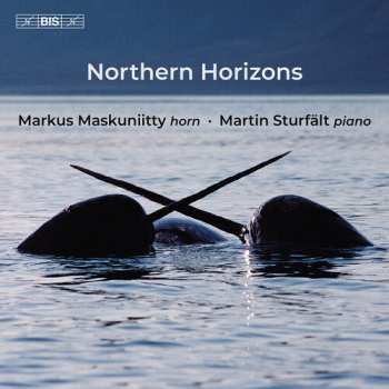 Album Markus Maskuniitty: Northern Horizons
