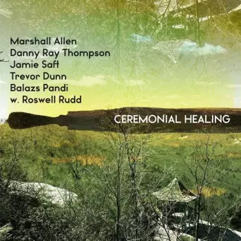 Jamie Saft: Ceremonial Healing