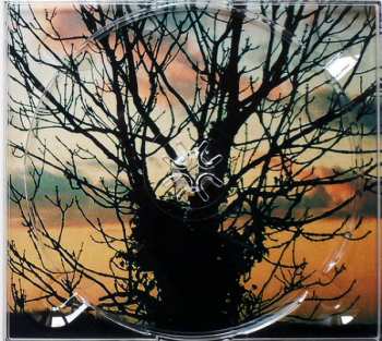 CD/DVD Martin Simpson: Murmurs DLX