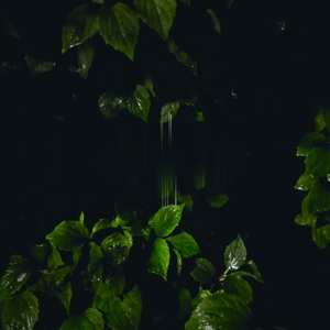 Album Martina Bertoni: Music For Empty Flats