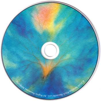 CD 纐纈雅代: Veins Of Rain LTD