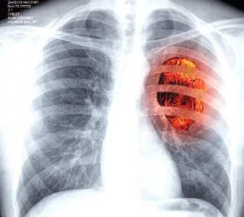 CD Massimo Zamboni: L'Estinzione Di Un Colloquio Amoroso