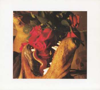 CD Matmos: The Rose Has Teeth In The Mouth Of A Beast