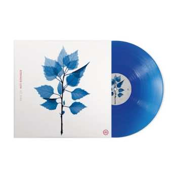 LP Matt Berninger: Get Sunk CLR | LTD