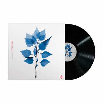 LP Matt Berninger: Get Sunk
