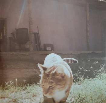 LP Mav Karlo: Strangers Like Us