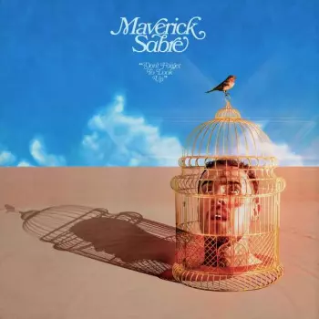 Maverick Sabre: Don't Forget To Look Up