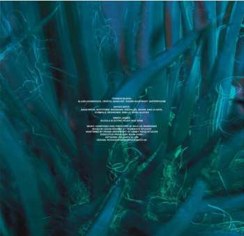 LP Max de Wardener: Kolmar