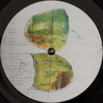 LP Maxi Pongratz: Musik Für Flugräder LTD
