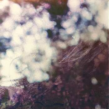 LP Maybeshewill: Fair Youth CLR