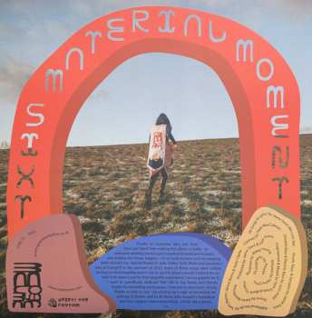 LP Me Lost Me: This Material Moment CLR