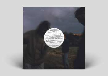 Album Melodiesinfonie Bluestaeb & S. Fidelity: 365 P